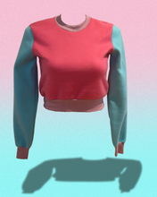 Load image into Gallery viewer, Flumper - Pink Body Turquoise Arms