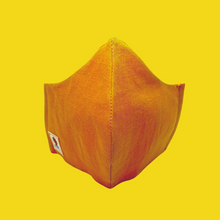 Load image into Gallery viewer, Fabric Face Mask with Pocket