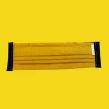 Load image into Gallery viewer, Triple Layer Pleated Fabric Face Mask
