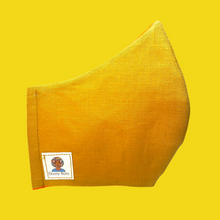 Load image into Gallery viewer, Fabric Face Mask with Pocket
