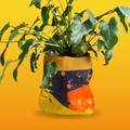 Fabric Pot Planter